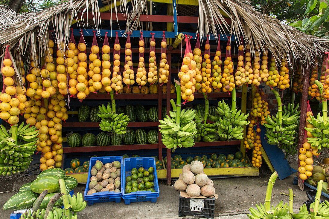 Bunter Obststand am Straßenrand mit einer Vielzahl tropischer Früchte am Rande von Navarrete, Dominikanische Republik