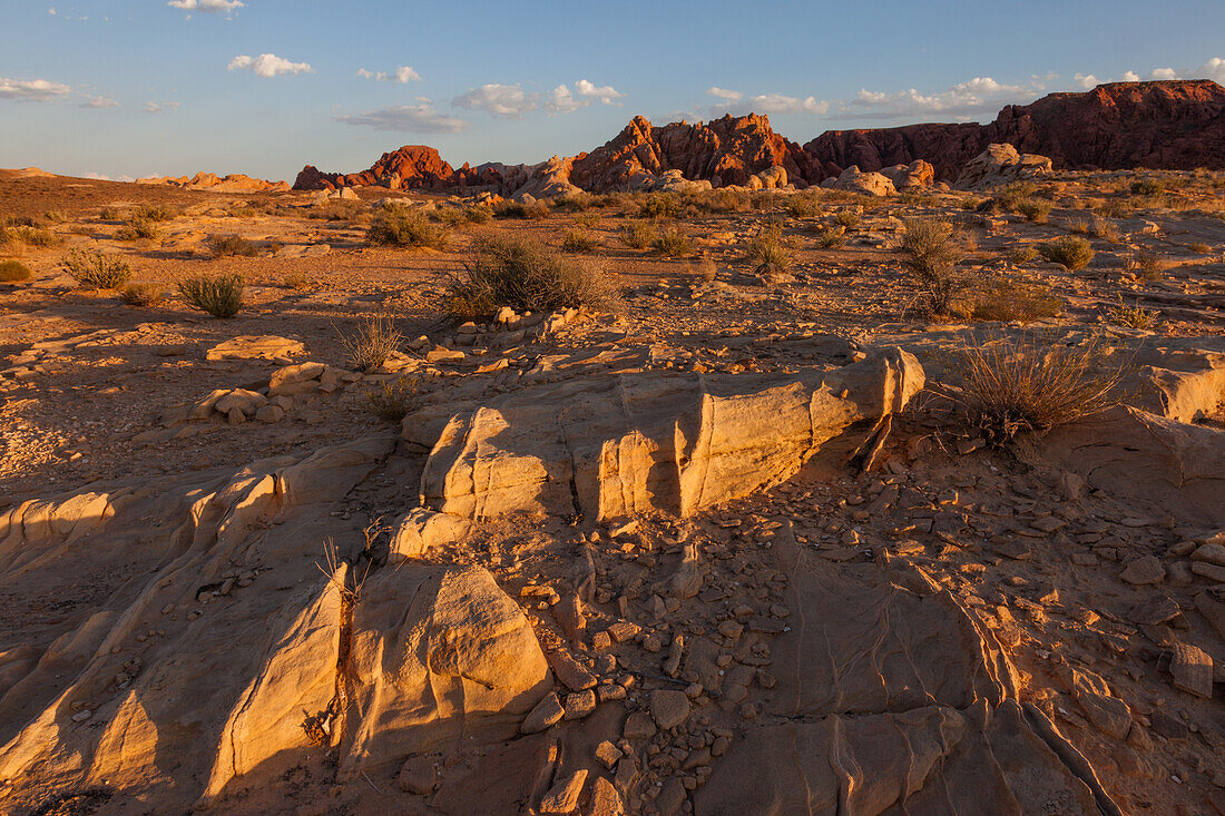 Eroded Aztec sandstone formations in Valley of Fire State Park in Nevada. The thin parallel fins are called compaction bands.