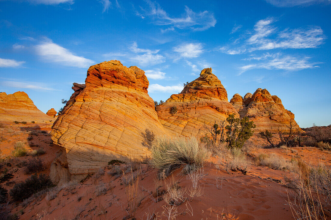 Late afternoon light on eroded Navajo sandstone formations in South Coyote Buttes, Vermilion Cliffs National Monument, Arizona.