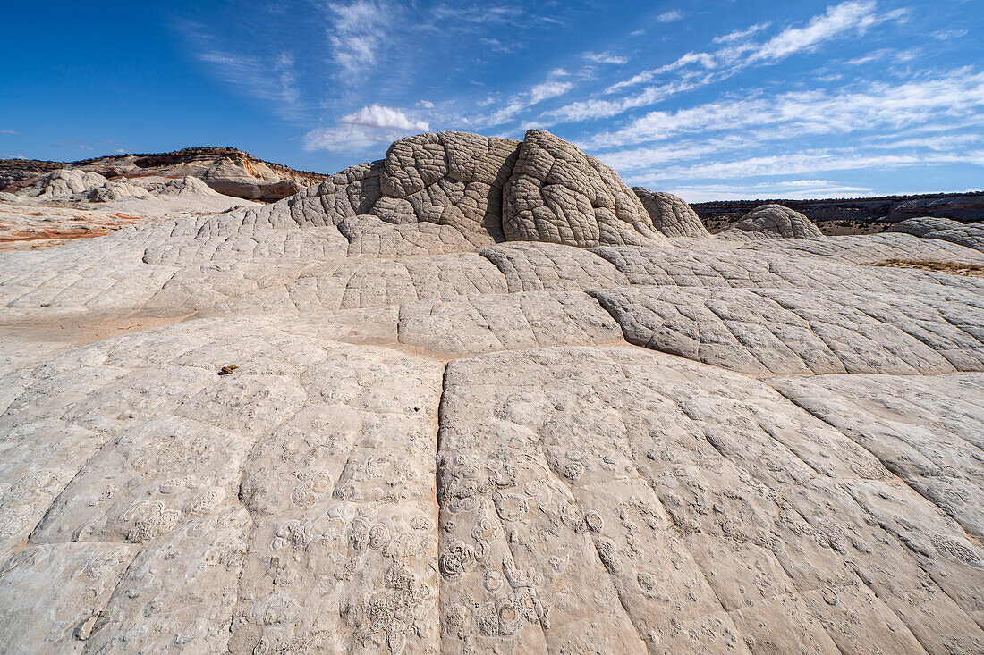 Weißer Pillow Rock oder Brain Rock Sandstein in der White Pocket Recreation Area, Vermilion Cliffs National Monument, Arizona. Eine Form des Navajo-Sandsteins