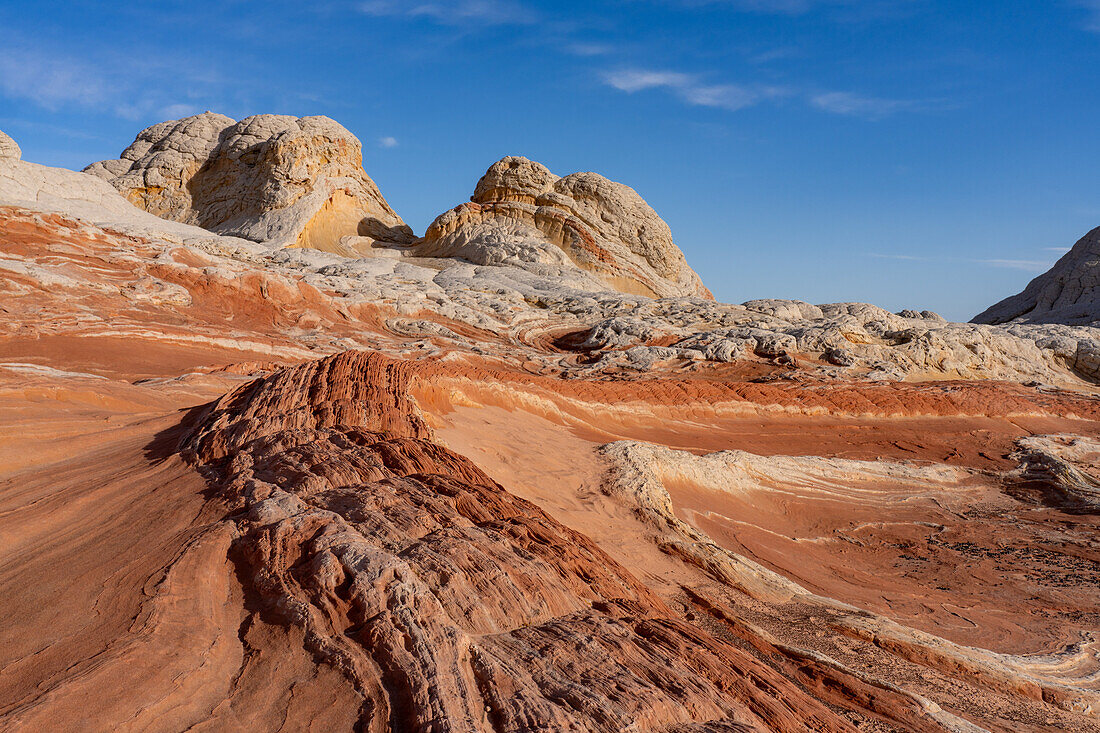 The Dragon's Tail, a colorful eroded sandstone formation. White Pocket Recreation Area, Vermilion Cliffs National Monument, Arizona.