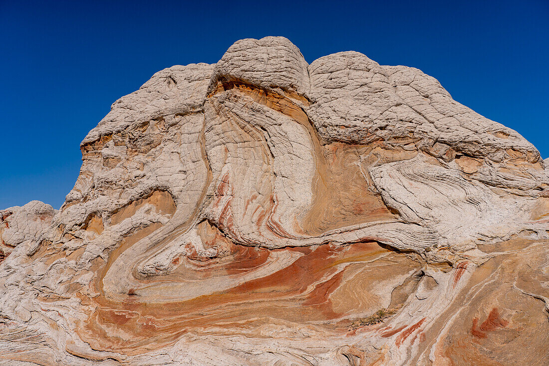 Eroded white pillow rock or brain rock sandstone in the White Pocket Recreation Area, Vermilion Cliffs National Monument, Arizona. Both the red and white are Navajo sandstone but the red has more iron oxide in it.