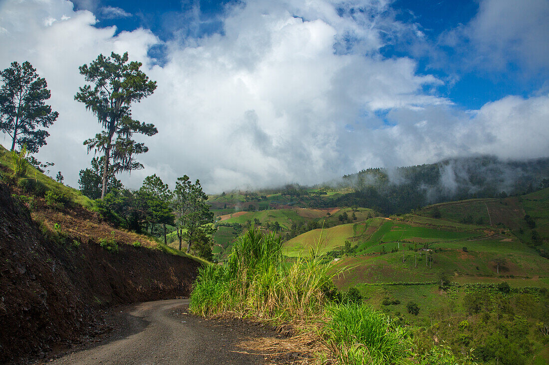 Low clouds over farms in the hills near Constanza in the Dominican Republic. Large Hispanola pine trees are at left.