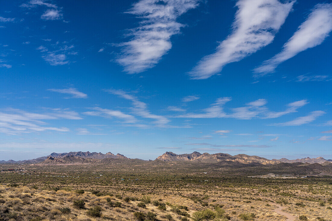 Die Goldfield Mountains vom Lost Dutchman State Park aus gesehen, Apache Junction, Arizona