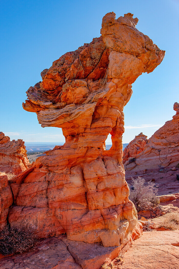 Eroded Navajo sandstone formations in South Coyote Buttes, Vermilion Cliffs National Monument, Arizona.