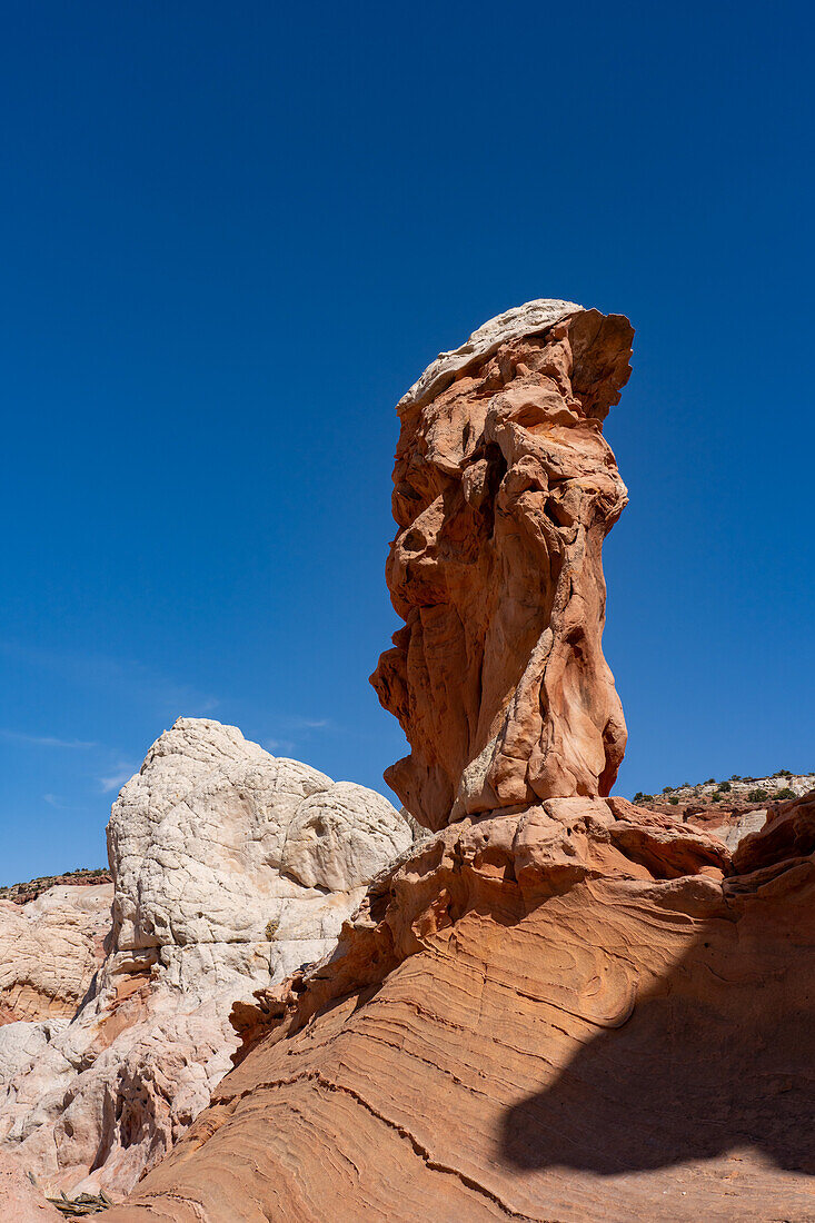 A sandstone hoodoo rock formation in the White Pocket Recreation Area, Vermilion Cliffs National Monument, Arizona.