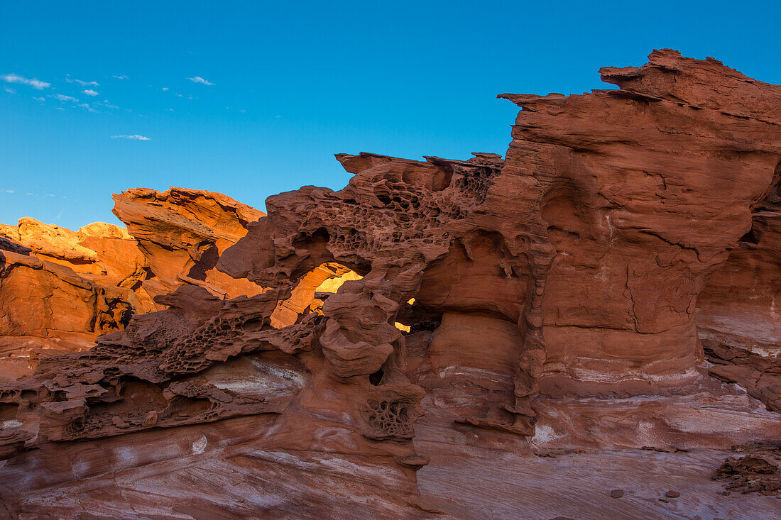 Tafoni & small micro arches in eroded Aztec sandstone in Little Finland, Gold Butte National Monument, Nevada.