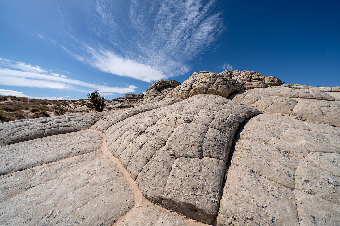 White pillow rock or brain rock sandstone in the White Pocket Recreation Area, Vermilion Cliffs National Monument, Arizona. A form of Navajo sandstone.