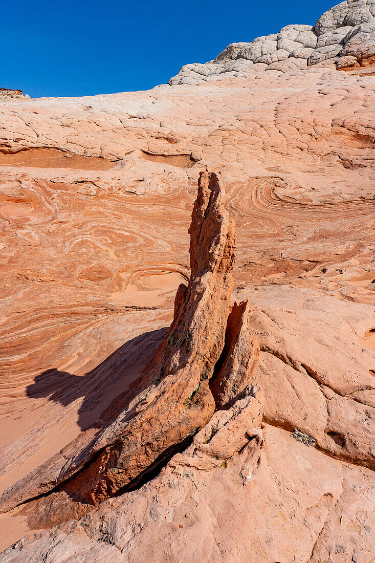 Eroded Navajo sandstone in the White Pocket Recreation Area, Vermilion Cliffs National Monument, Arizona.