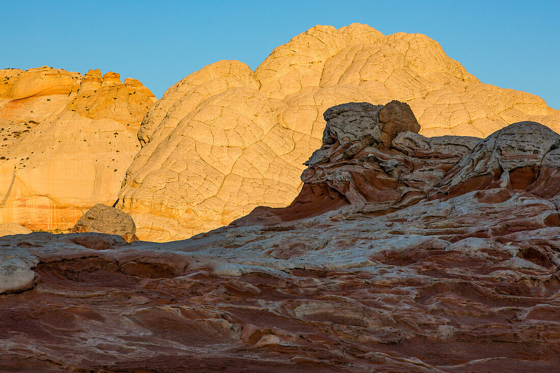 Sonnenaufgangslicht auf Navajo-Sandstein in der White Pocket Recreation Area, Vermilion Cliffs National Monument, Arizona. Diese Art von Navajo-Sandstein wird Pillow Rock oder Brain Rock genannt.