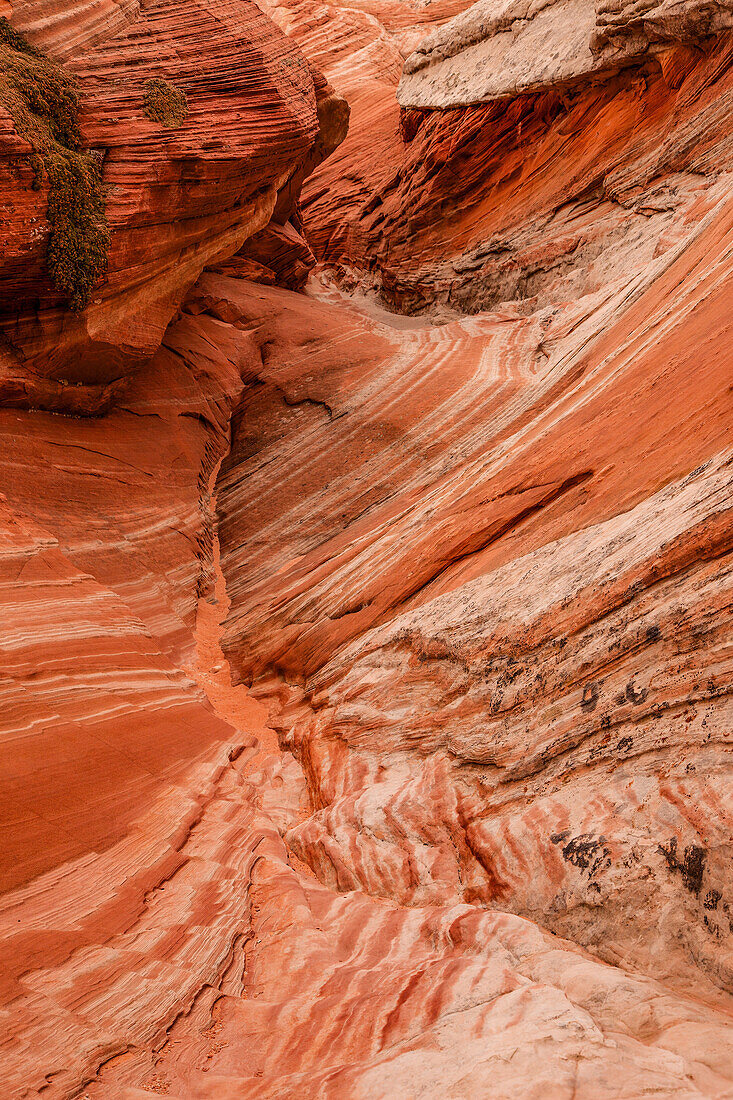 Erodierte Navajo-Sandsteinformationen in der White Pocket Recreation Area, Vermilion Cliffs National Monument, Arizona