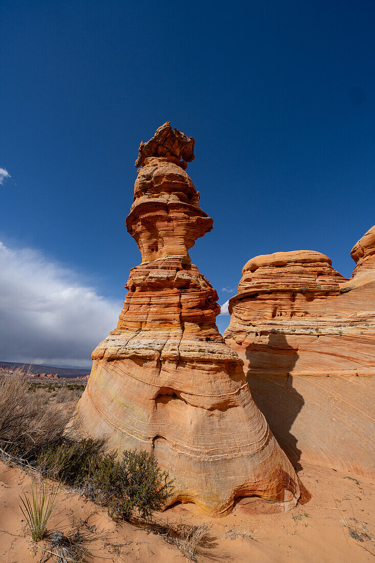 The Chess Queen or Totem Pole is an eroded sandstone tower near South Coyote Buttes, Vermilion Cliffs National Monument, Arizona.