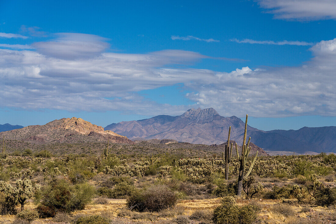 Four Peaks in den Mazatzal Mountains vom Lost Dutchman State Park bei Apache Junction, Arizona, aus gesehen