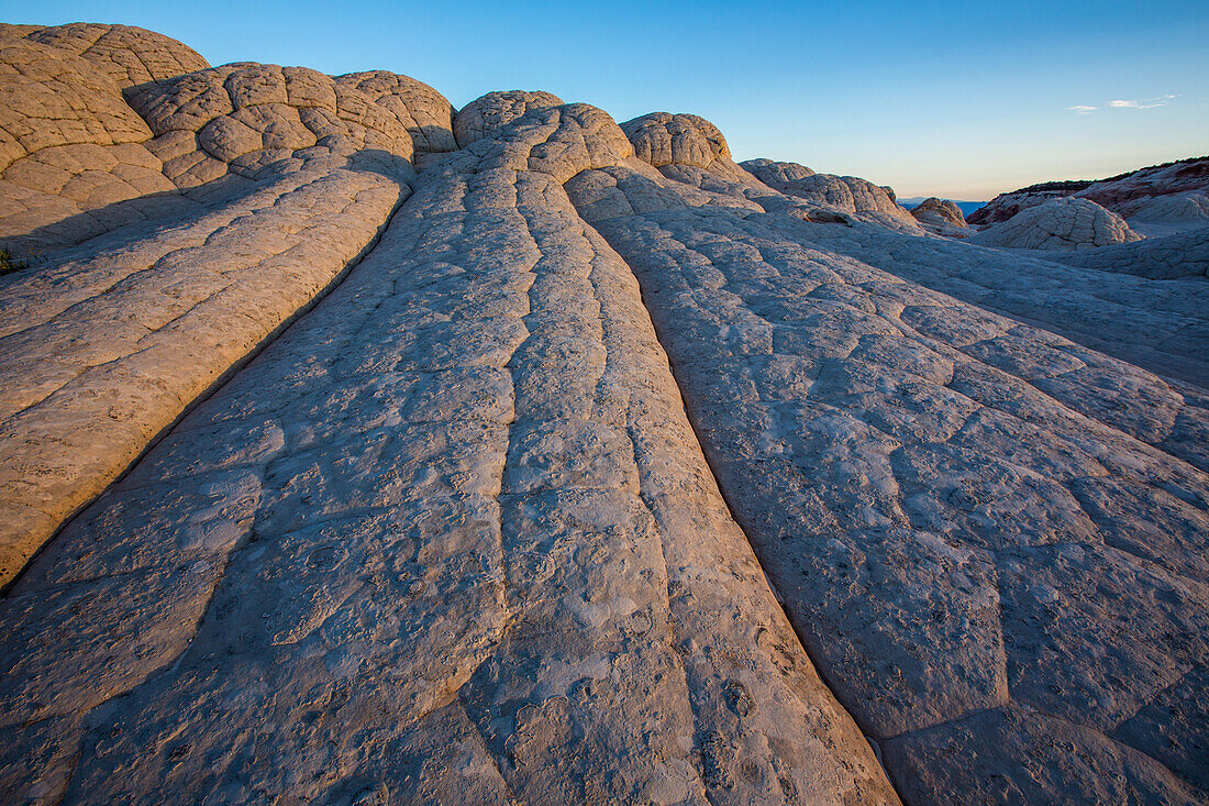 Sunrise light on Navajo sandstone in the White Pocket Recreation Area, Vermilion Cliffs National Monument, Arizona. This type of Navajo sandstone is called pillow rock or brain rock.