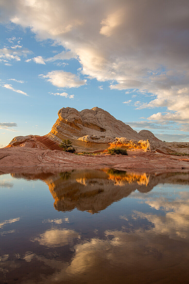 Lollipop Rock reflected in an ephemeral pool in the White Pocket, Vermilion Cliffs National Monument, Arizona.