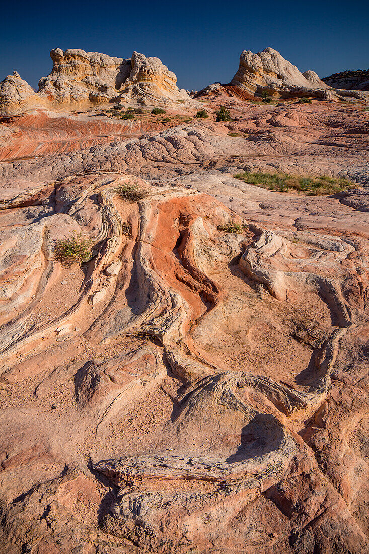 Eroded Navajo sandstone formations in the White Pocket Recreation Area, Vermilion Cliffs National Monument, Arizona. Lollipop Rock is in the background.