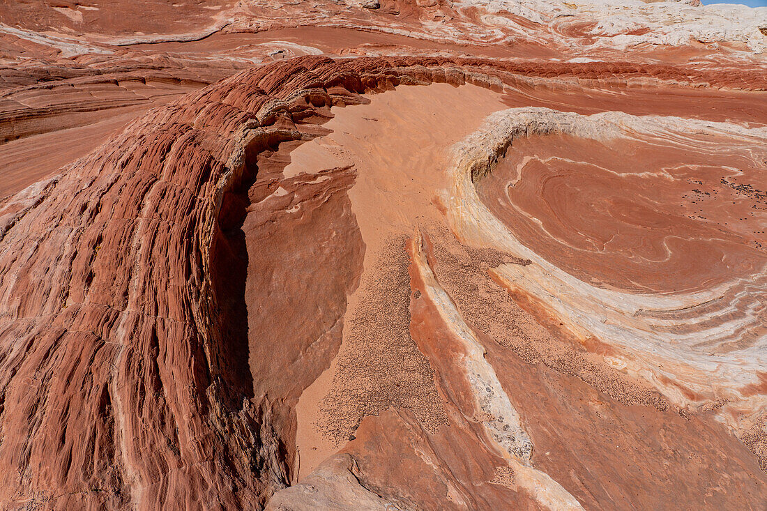 Der Drachenschwanz, eine bunte erodierte Sandsteinformation. White Pocket Recreation Area, Vermilion Cliffs National Monument, Arizona