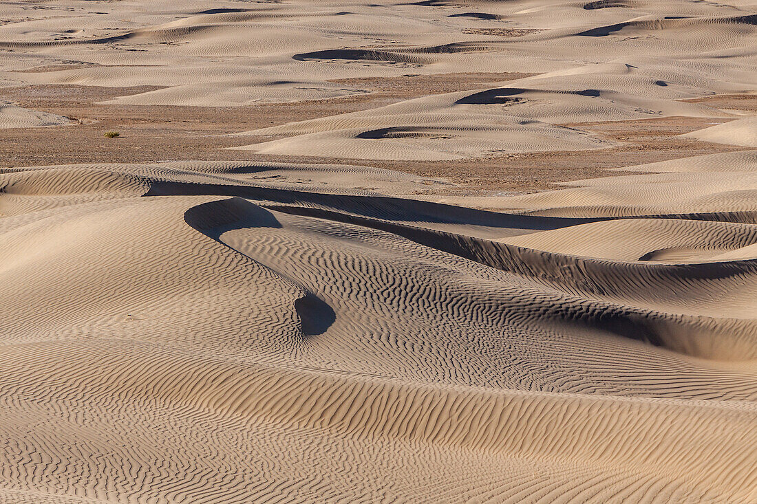 Curving crests of dunes in the Mesquite Flat Sand Dunes in the Mojave Desert in Death Valley National Park, California.