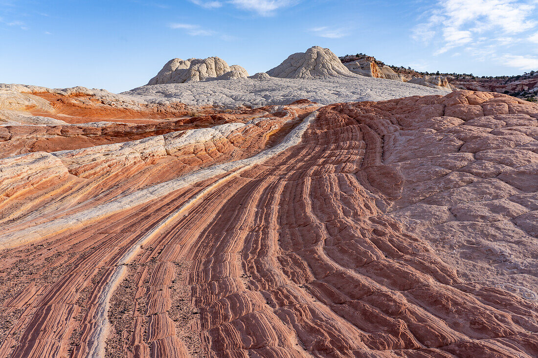 Erodierter weißer Pillow Rock oder Brain Rock Sandstein in der White Pocket Recreation Area, Vermilion Cliffs National Monument, Arizona. Sowohl der rote als auch der weiße Sandstein sind Navajo-Sandstein, aber der rote hat mehr Eisenoxidanteil