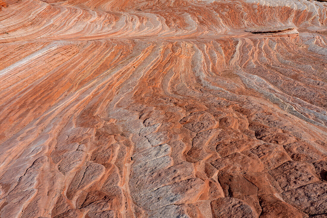 Eroded Navajo sandstone in the White Pocket Recreation Area, Vermilion Cliffs National Monument, Arizona.