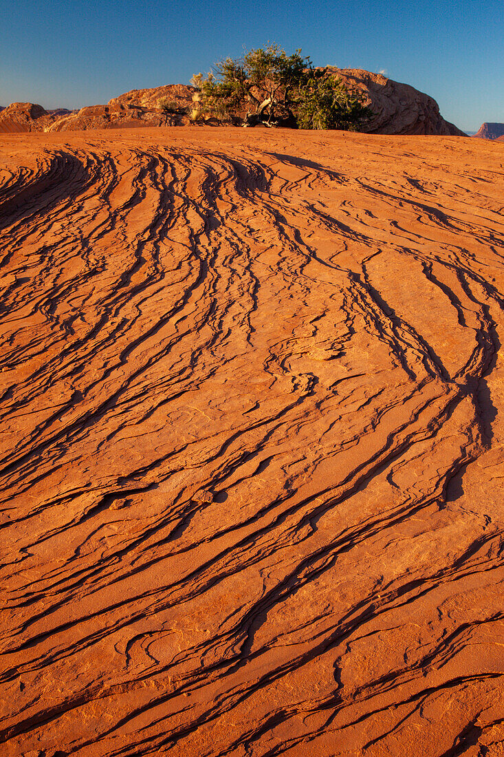 Eroded sandstone patterns in Mystery Valley in the Monument Valley Navajo Tribal Park in Arizona.