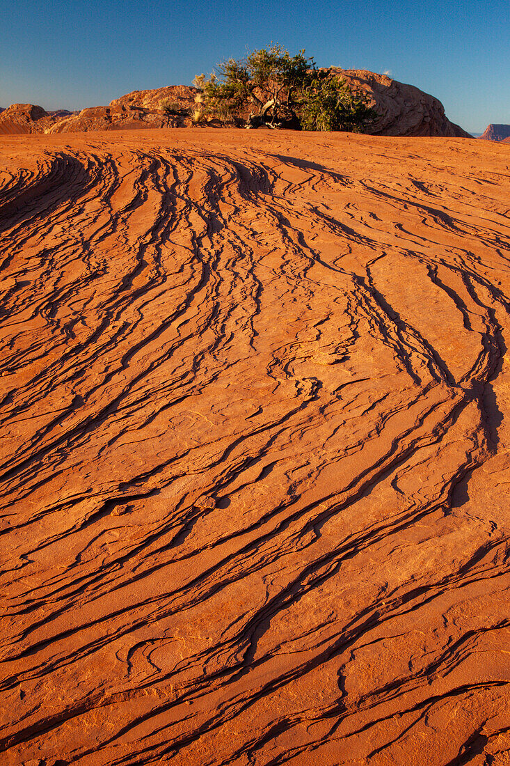 Erodierte Sandsteinmuster im Mystery Valley im Monument Valley Navajo Tribal Park in Arizona