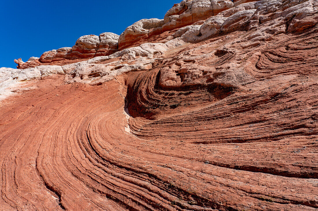 Eroded Navajo sandstone formations in the White Pocket Recreation Area, Vermilion Cliffs National Monument, Arizona.