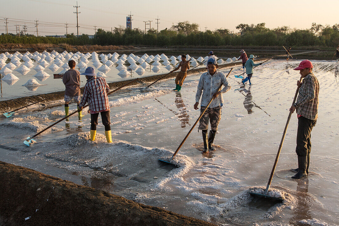 Arbeiter, die auf einer Salzfarm in Samut Sakhon, Thailand, Salz nach traditionellen, seit Jahrtausenden angewandten Methoden gewinnen
