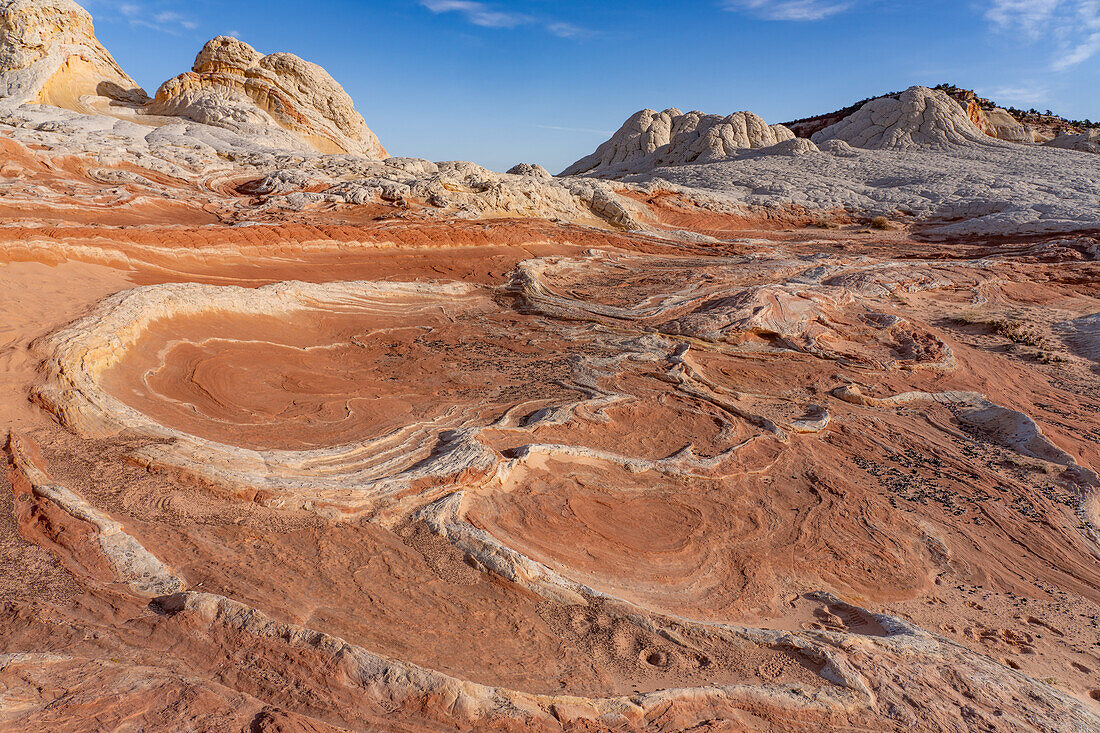 Erodierter weißer Pillow Rock oder Brain Rock Sandstein in der White Pocket Recreation Area, Vermilion Cliffs National Monument, Arizona. Sowohl der rote als auch der weiße Sandstein sind Navajo-Sandstein, aber der rote hat mehr Eisenoxidanteil