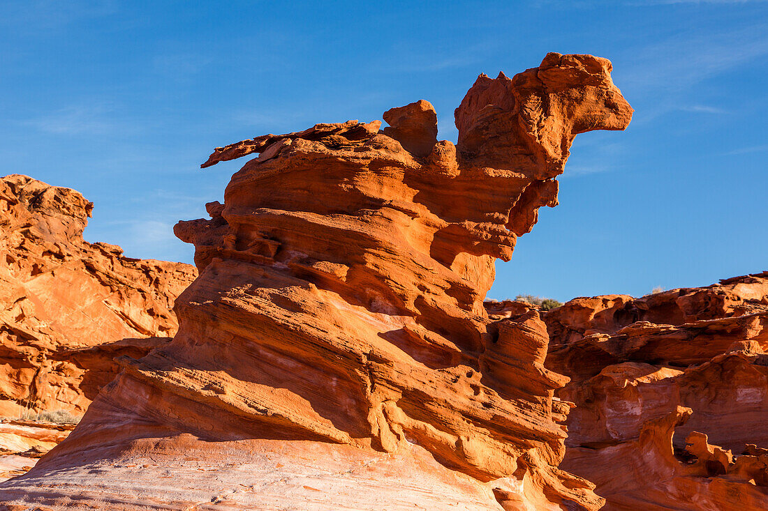 Fragile eroded Aztec sandstone formations in Little Finland, Gold Butte National Monument, Nevada.