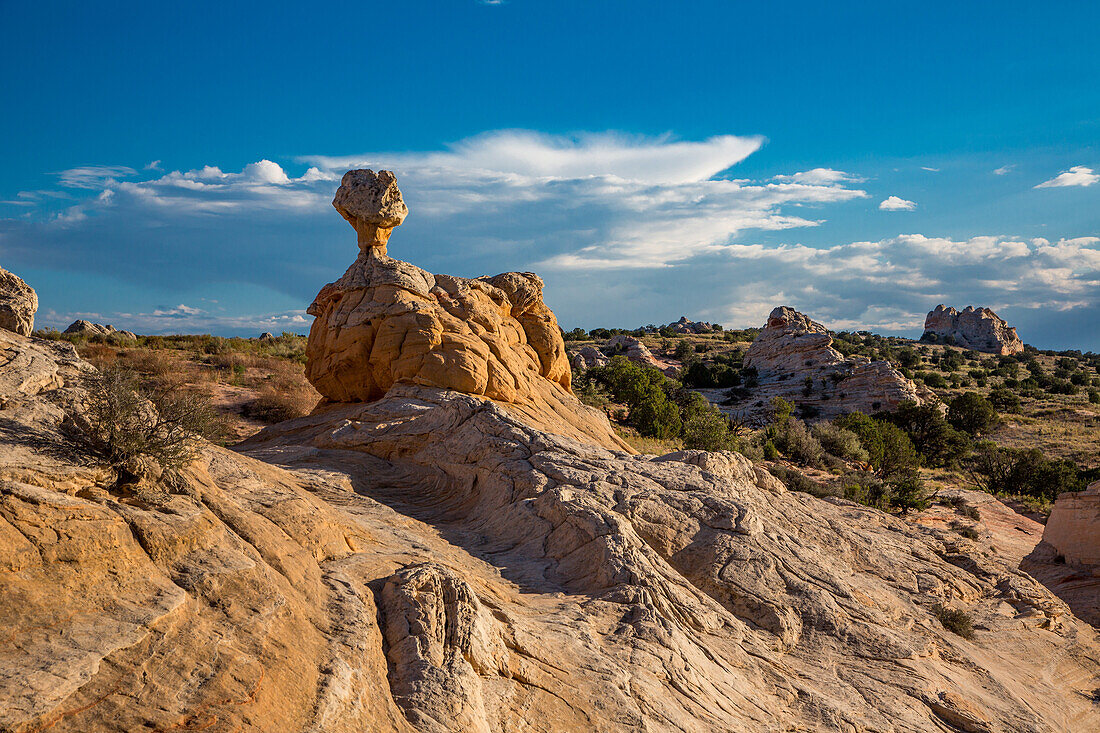 A sandstone hoodoo rock formation in the White Pocket Recreation Area, Vermilion Cliffs National Monument, Arizona.