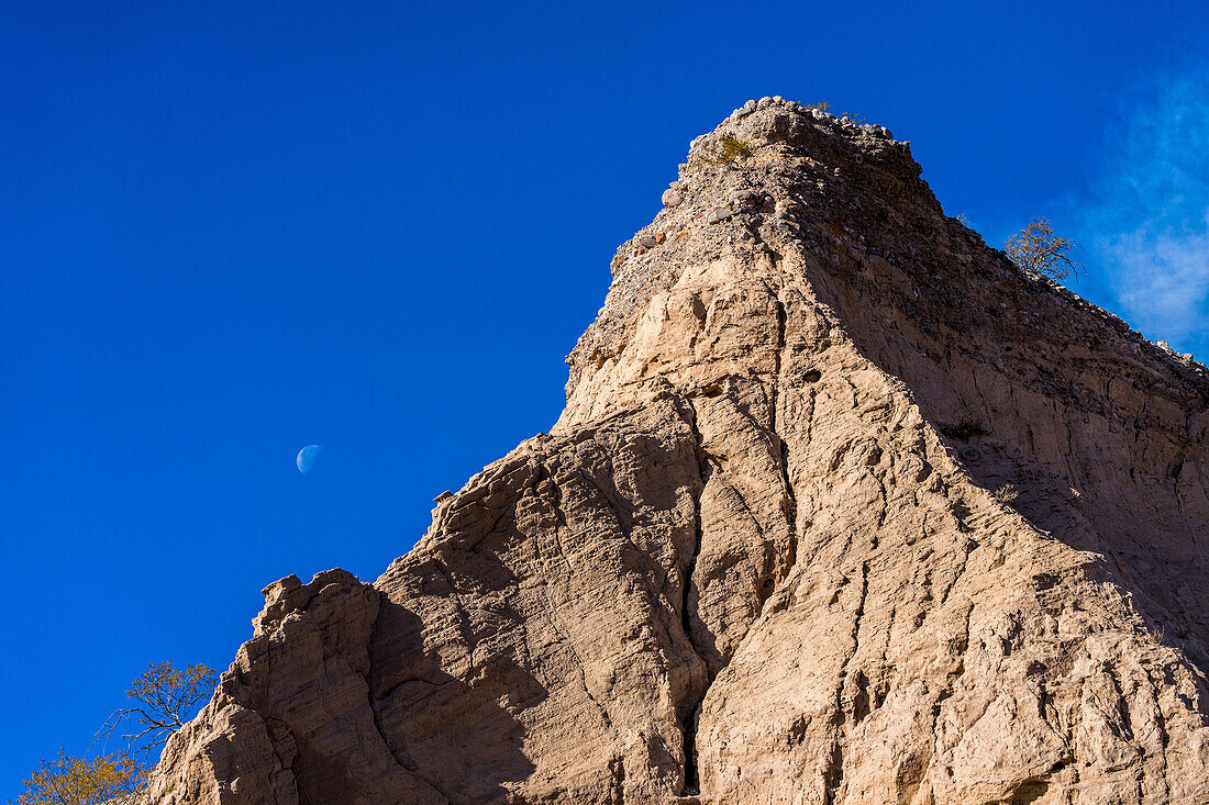 Ein erodierter Hügel mit dem Mond im Bosque dle Apache Wildlife Reserve in New Mexico