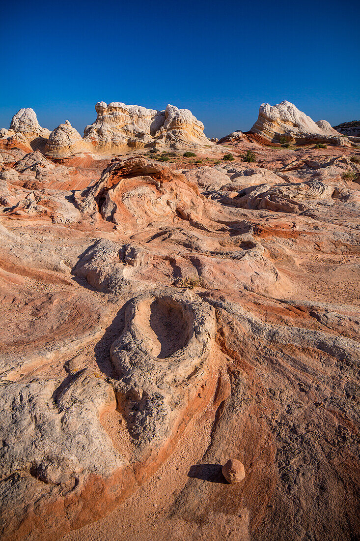 Eroded Navajo sandstone formations in the White Pocket Recreation Area, Vermilion Cliffs National Monument, Arizona. Lollipop Rock is in the background.