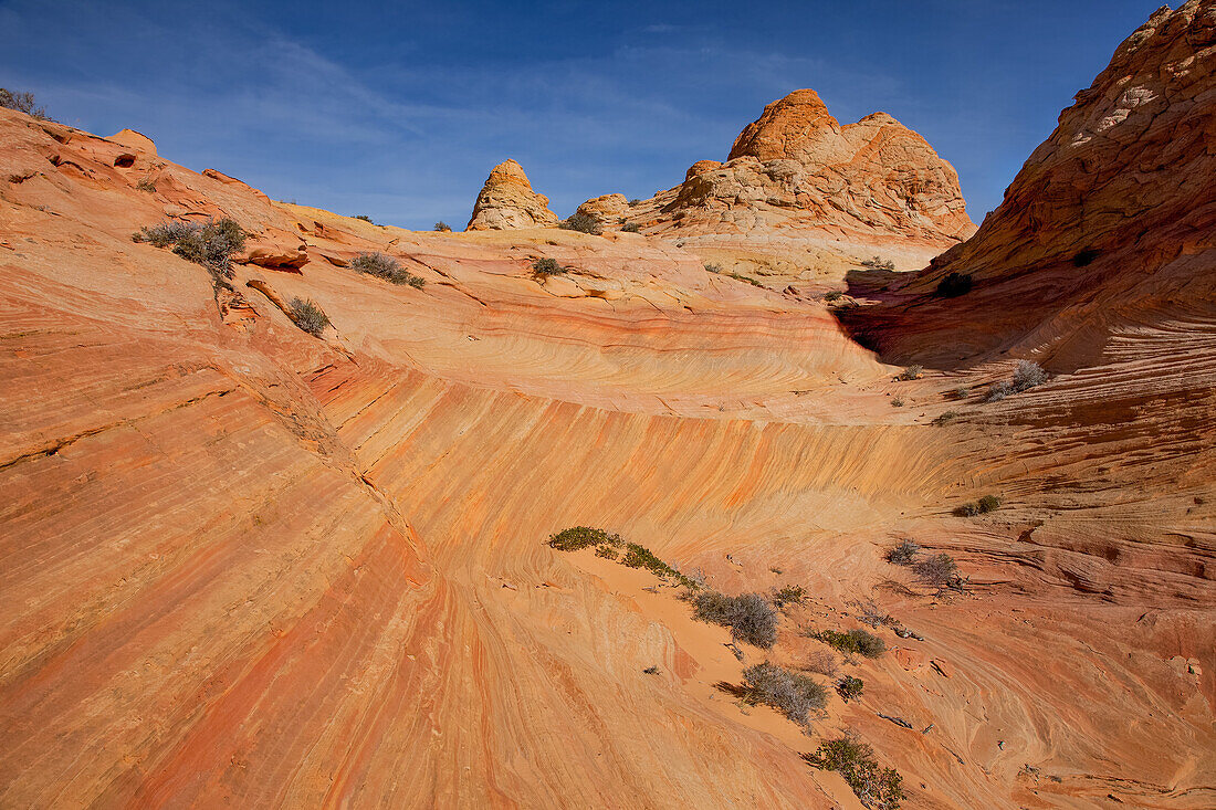 Eroded Navajo sandstone formations in South Coyote Buttes, Vermilion Cliffs National Monument, Arizona.