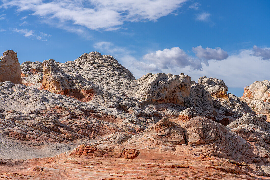 Erodierter weißer Pillow Rock oder Brain Rock Sandstein in der White Pocket Recreation Area, Vermilion Cliffs National Monument, Arizona. Sowohl der rote als auch der weiße Sandstein sind Navajo-Sandstein, aber der rote hat mehr Eisenoxidanteil