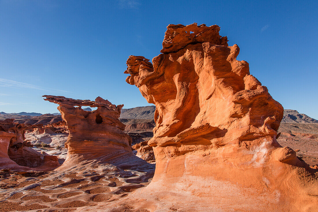 Fragile erodierte Azteken-Sandsteinformationen in Little Finland, Gold Butte National Monument, Nevada