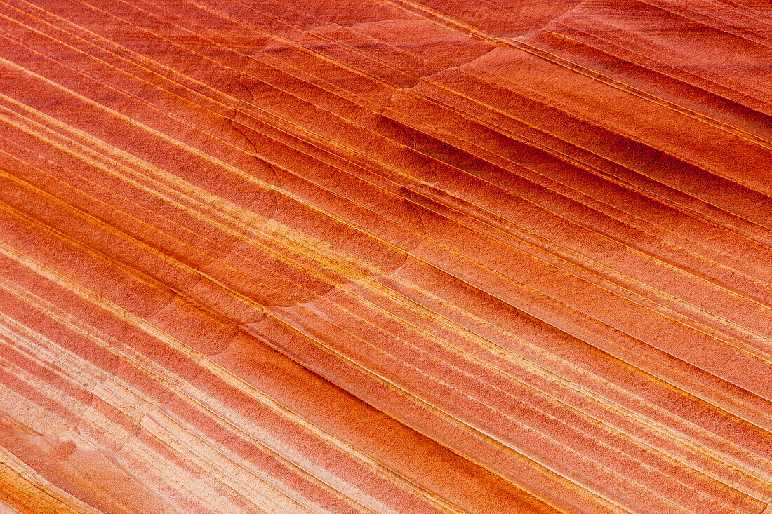 Colorful patterns in the Navajo sandstone in South Coyote Buttes, Vermilion Cliffs National Monument, Arizona.