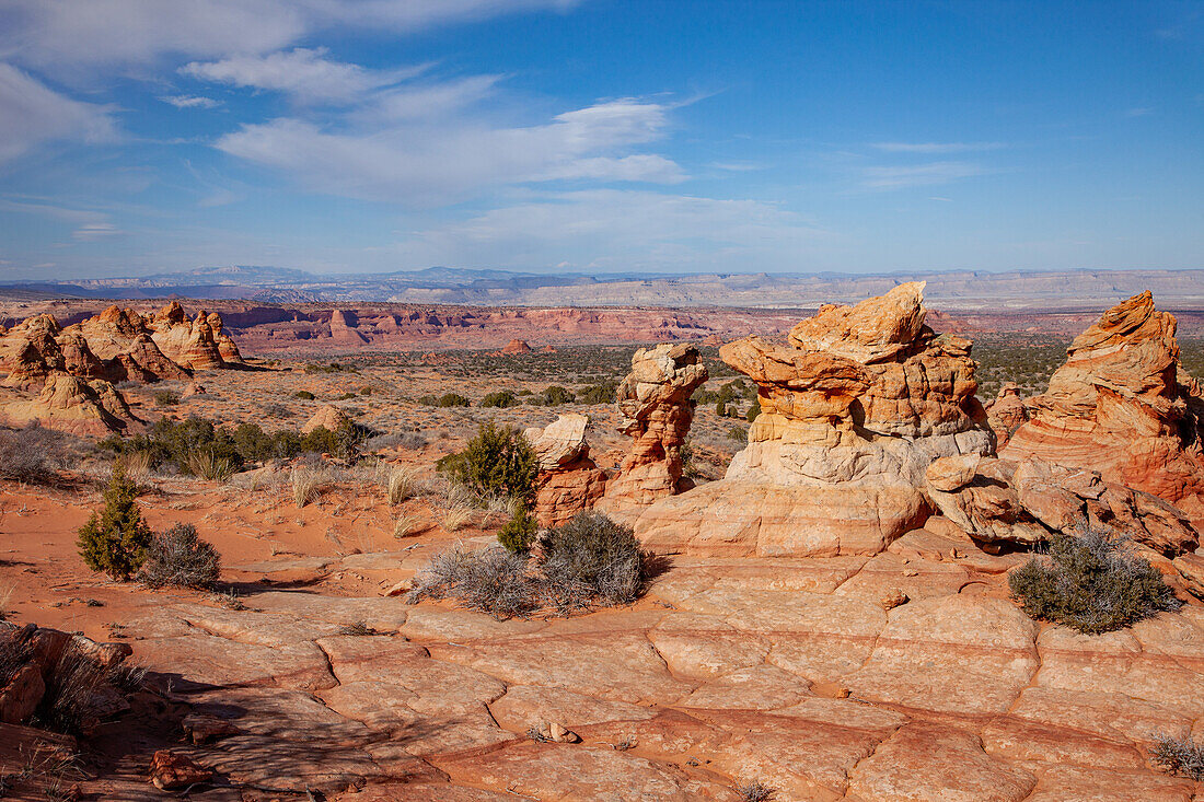 Eroded Navajo sandstone formations in South Coyote Buttes, Vermilion Cliffs National Monument, Arizona.