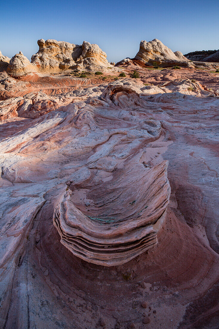 Eroded Navajo sandstone formation in the White Pocket Recreation Area, Vermilion Cliffs National Monument, Arizona. Lollipop Rock is in the background.