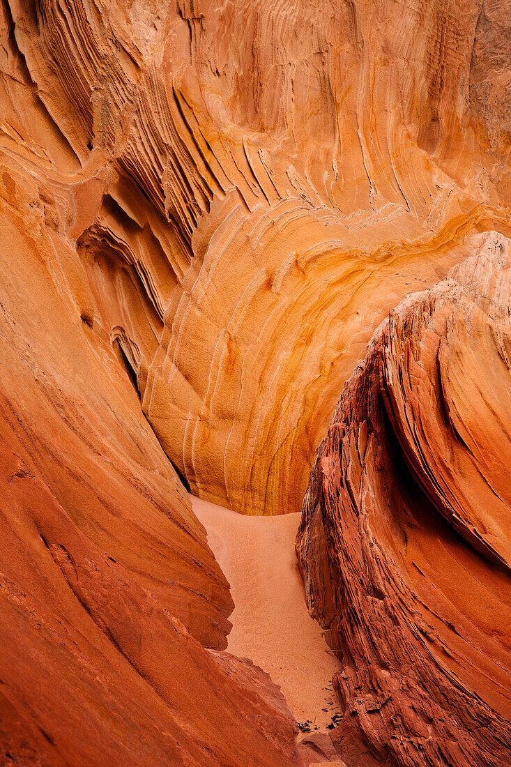 Erodierte Navajo-Sandsteinformationen in der White Pocket Recreation Area, Vermilion Cliffs National Monument, Arizona