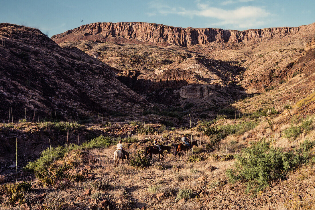 Junge Kinder auf einem Ausritt durch die Chihuahuan-Wüste im Big Bend National Park in Texas