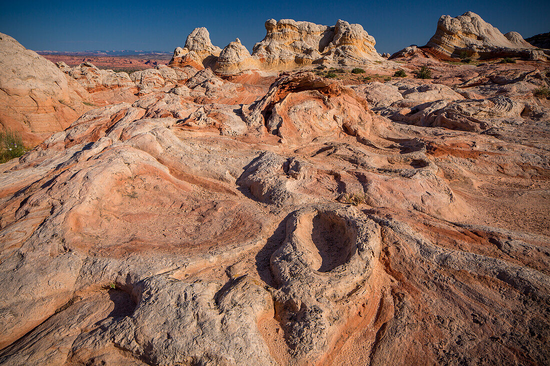 Eroded Navajo sandstone formations in the White Pocket Recreation Area, Vermilion Cliffs National Monument, Arizona. Lollipop Rock is in the background.