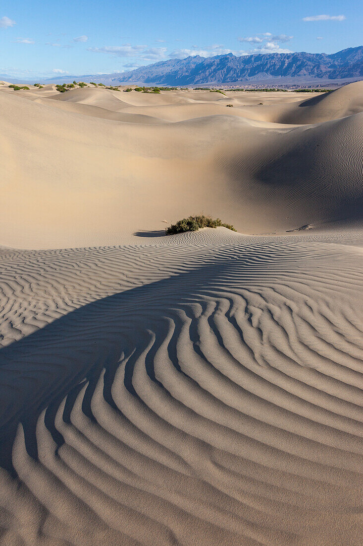 Wellen in den Mesquite Flat Sanddünen im Death Valley National Park in der Mojave-Wüste, Kalifornien. Dahinter die Black Mountains