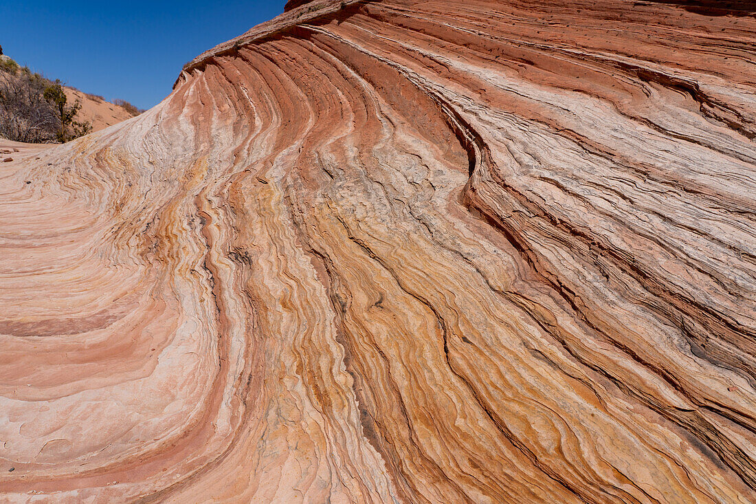 Eroded Navajo sandstone formations in the White Pocket Recreation Area, Vermilion Cliffs National Monument, Arizona.