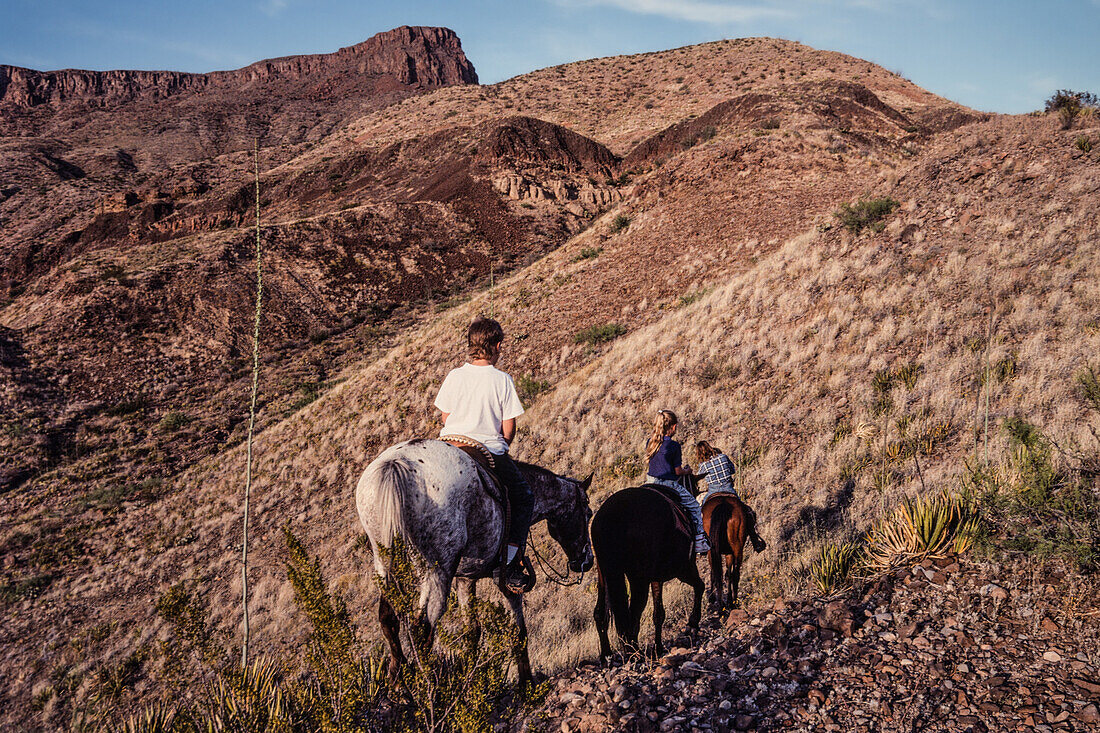 Young children on a horseback trail ride through the Chihuahuan Desert of Big Bend National Park in Texas.