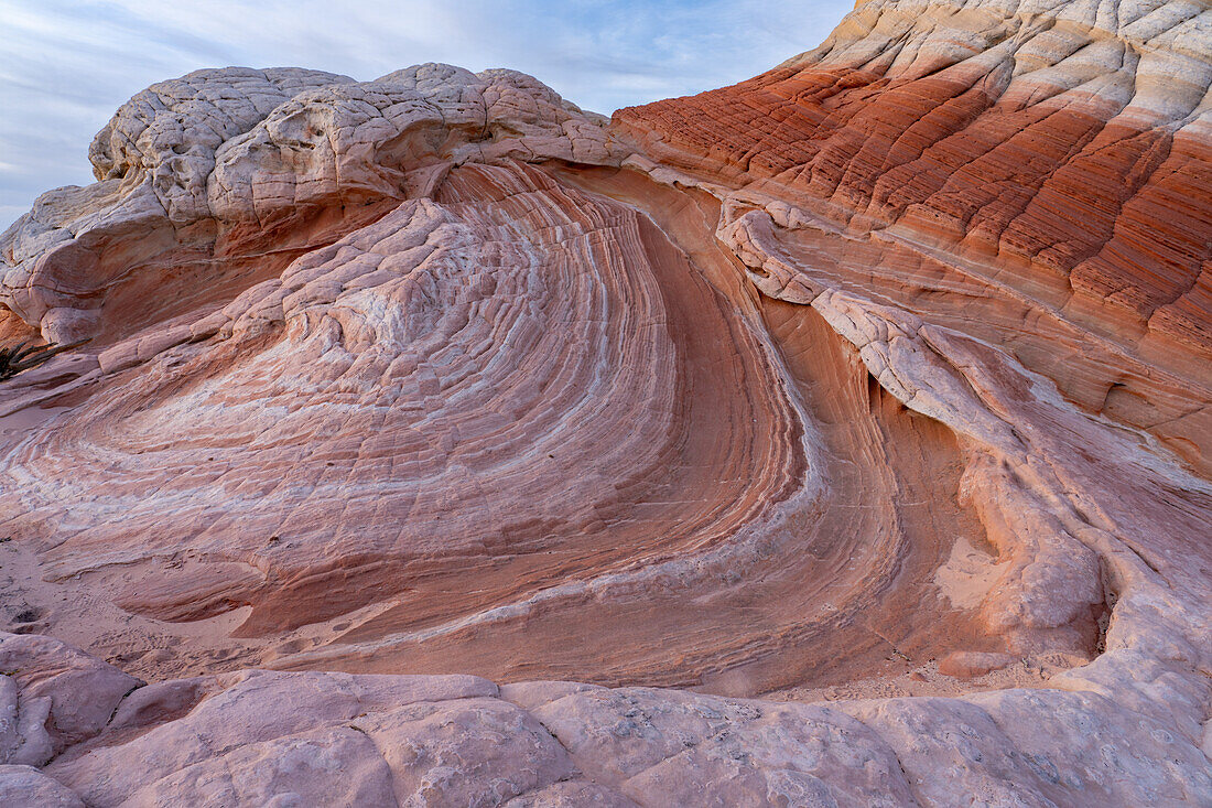 Lollipop Rock, a sandstone formation in the White Pocket Recreation Area, Vermilion Cliffs National Monument, Arizona.