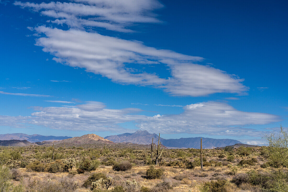 Four Peaks in den Mazatzal Mountains vom Lost Dutchman State Park bei Apache Junction, Arizona, aus gesehen