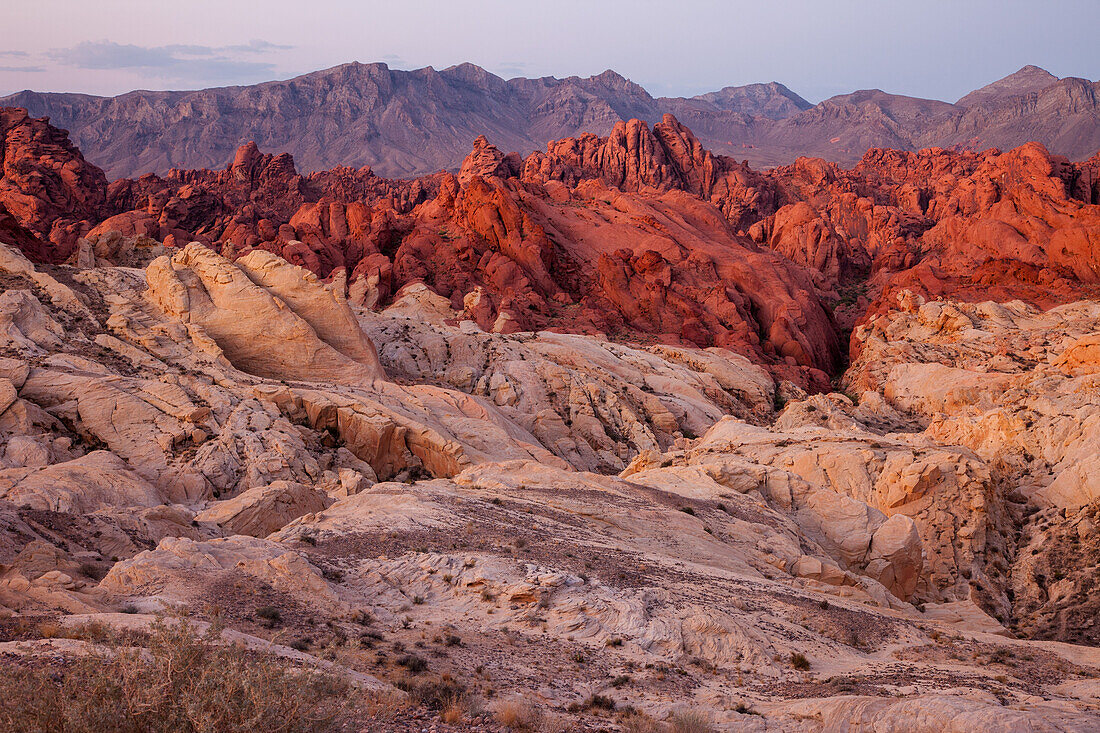 Roter und weißer aztekischer Sandstein im Fire Canyon vor Sonnenaufgang im Valley of Fire State Park in Nevada. Der weiße Sandstein wird Silica Dome genannt. Seine Sandkristalle bestehen aus fast reinem Siliziumdioxid.