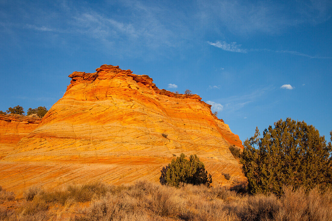 Sonnenaufgangslicht auf erodierten Navajo-Sandsteinformationen in South Coyote Buttes, Vermilion Cliffs National Monument, Arizona