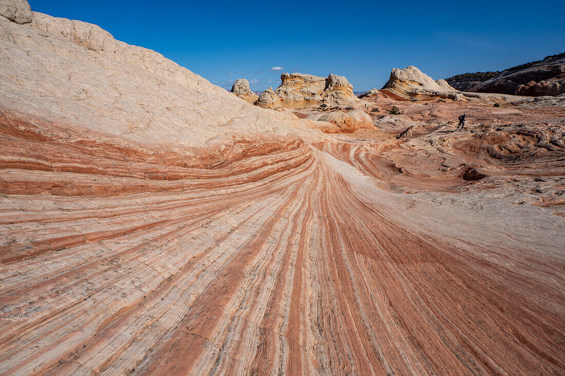 Eroded Navajo sandstone formations in the White Pocket Recreation Area, Vermilion Cliffs National Monument, Arizona.